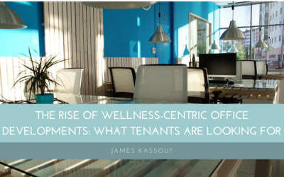 The Rise of Wellness-Centric Office Developments: What Tenants Are Looking For